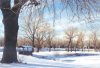 Winter Bliss, KS