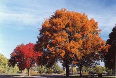Autumn at Watson Park,KS